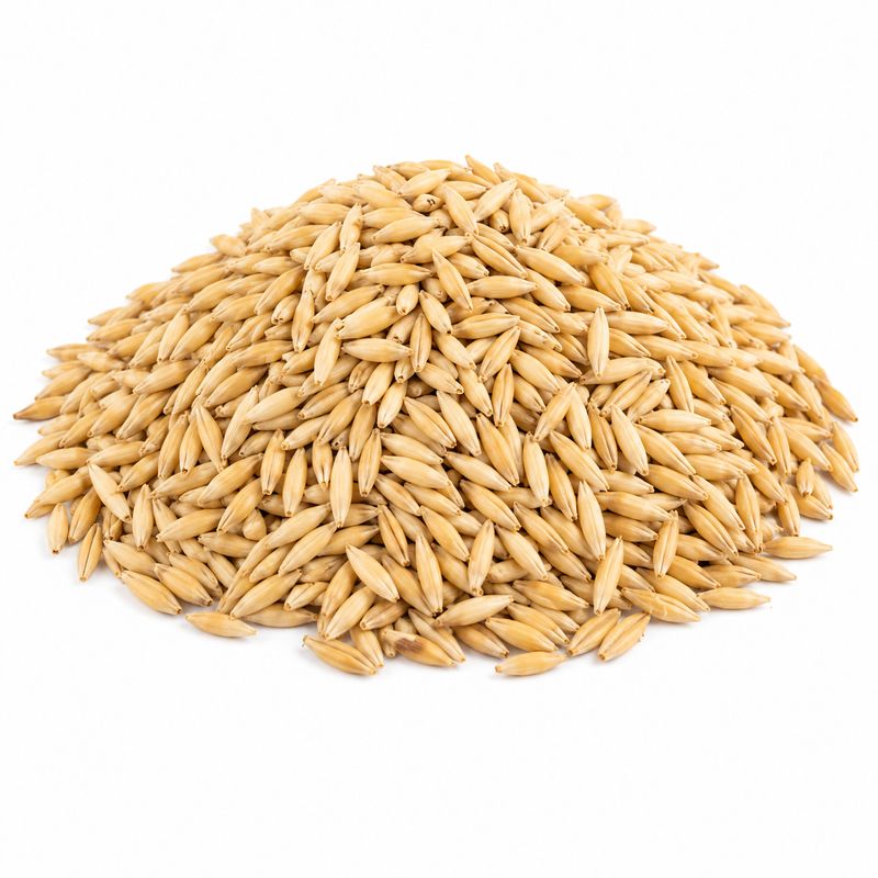 Whole Oat Groats (Sold In Bulk)