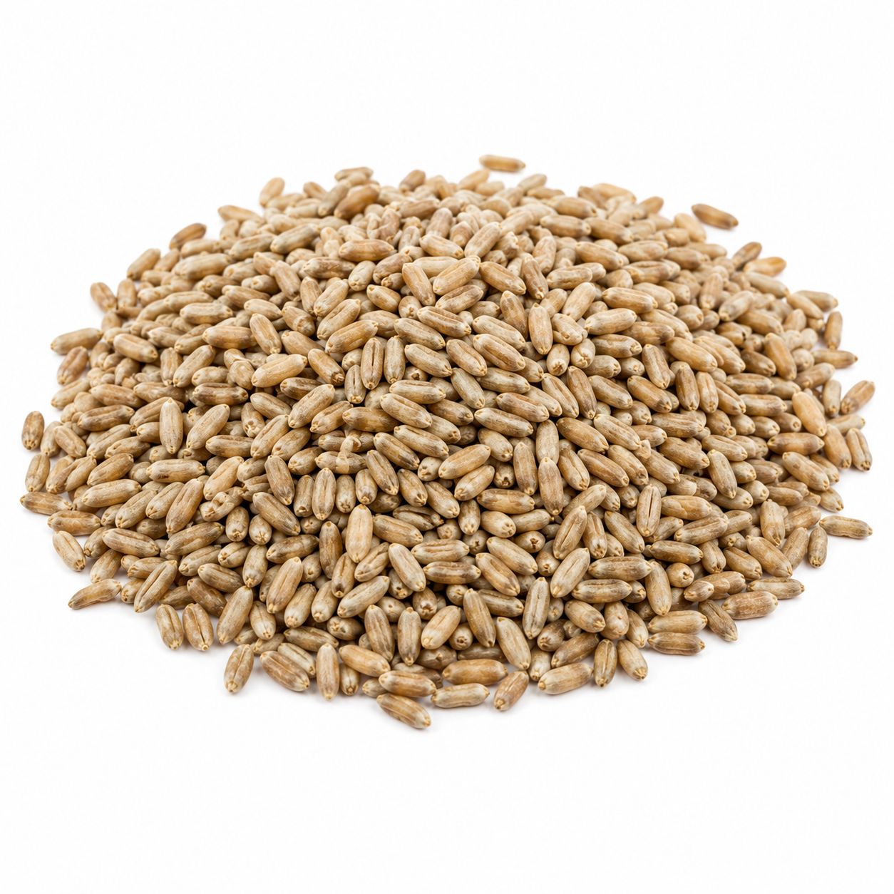 Whole Rye Grain Organic (Sold In Bulk) Whole Rye Grain Organic (Sold In Bulk)