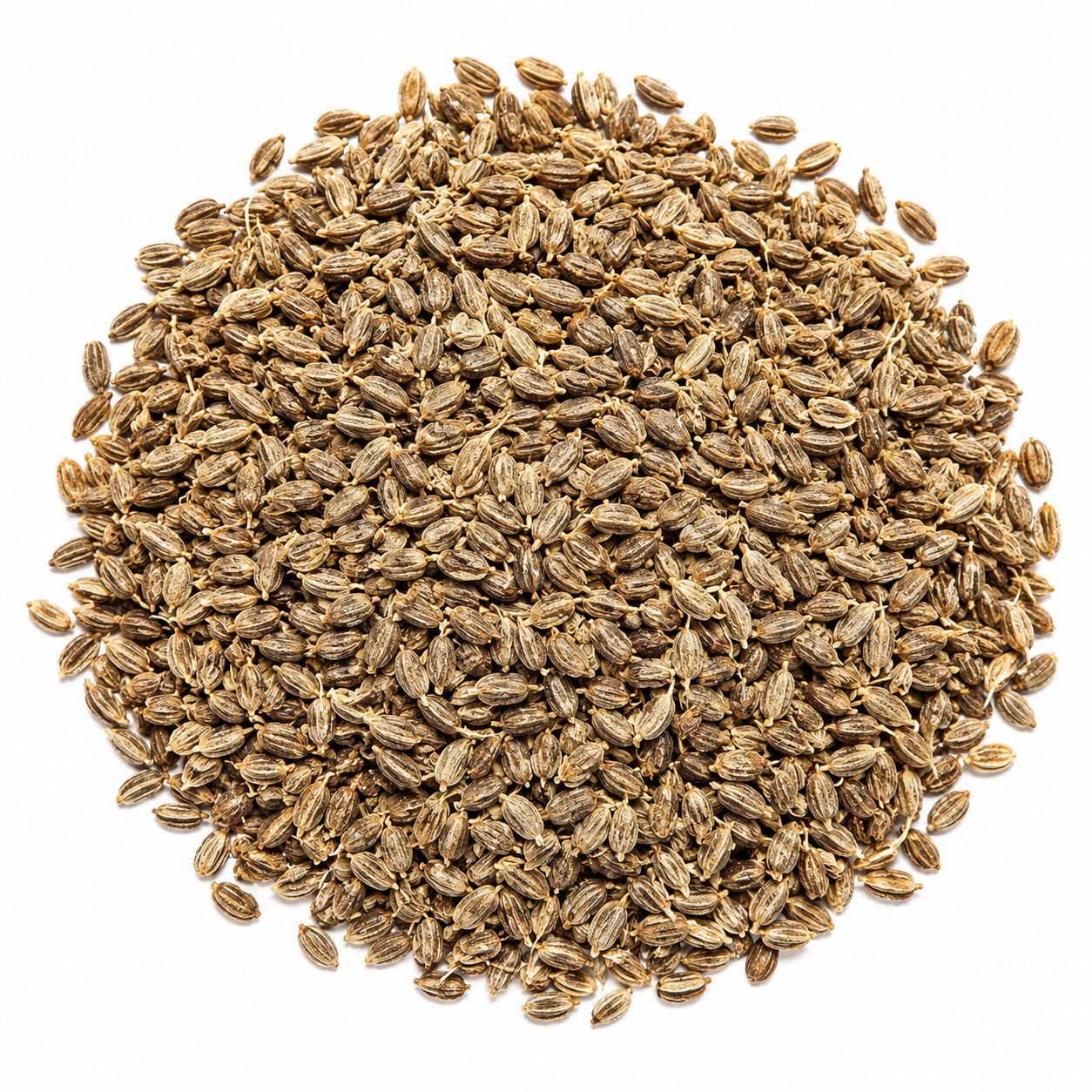 Anise Seeds (Sold In Bulk) Anise Seeds (Sold In Bulk)