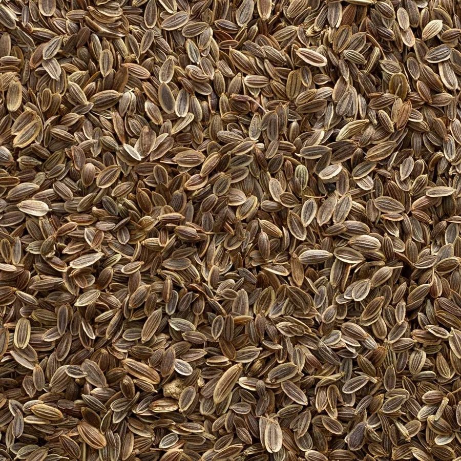 Dill Seed, Whole Organic (Sold In Bulk)