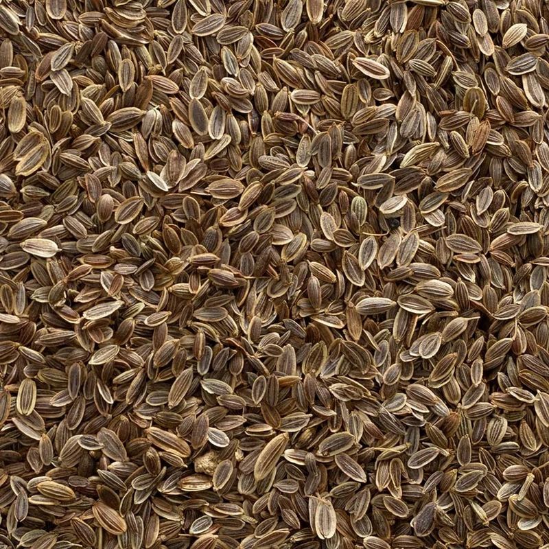 Dill Seed, Whole Organic (Sold In Bulk) Dill Seed, Whole Organic (Sold In Bulk)