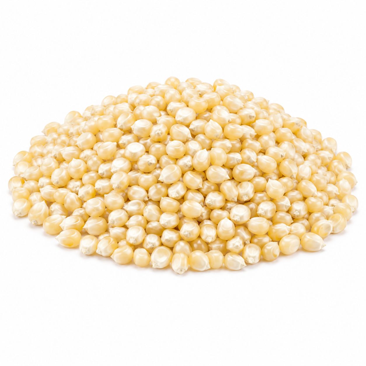 White Popcorn Kernels Organic (Sold In Bulk)