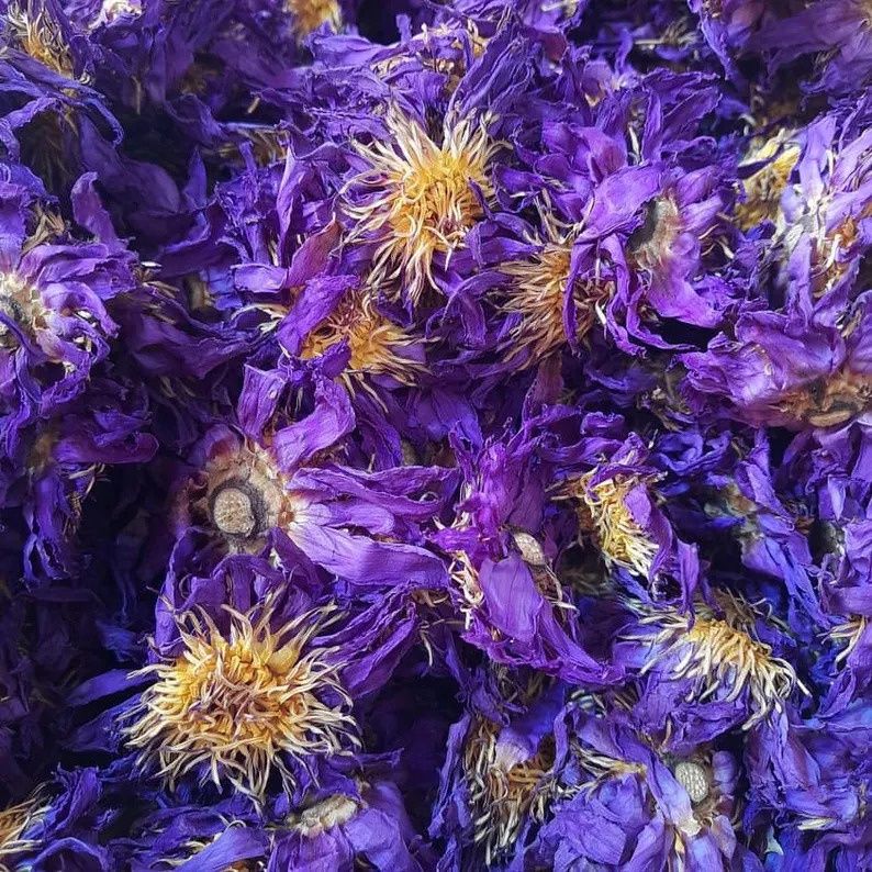 Blue Lotus Flower Organic (Sold In Bulk)