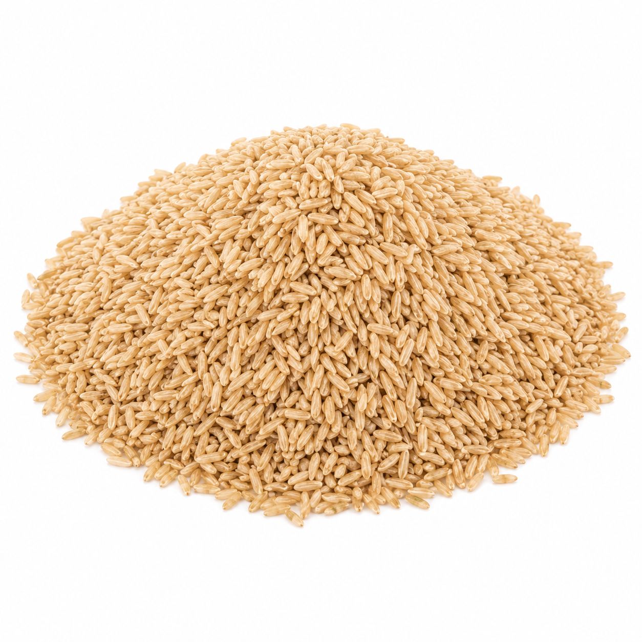 Sprouted Rice Brown Organic (Sold In Bulk)