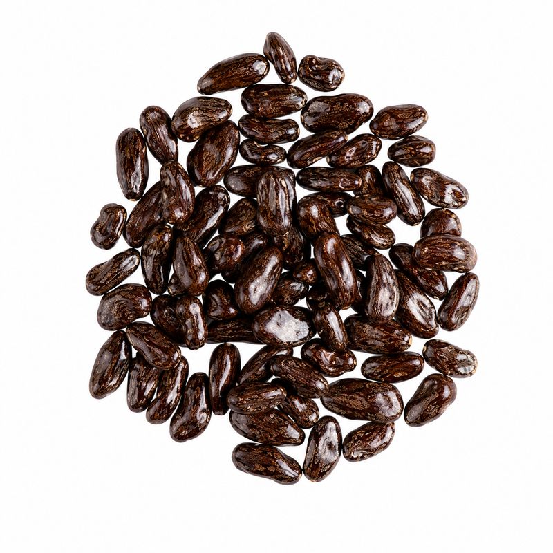 Chocolate Covered Goji Berries Organic (Sold In Bulk)