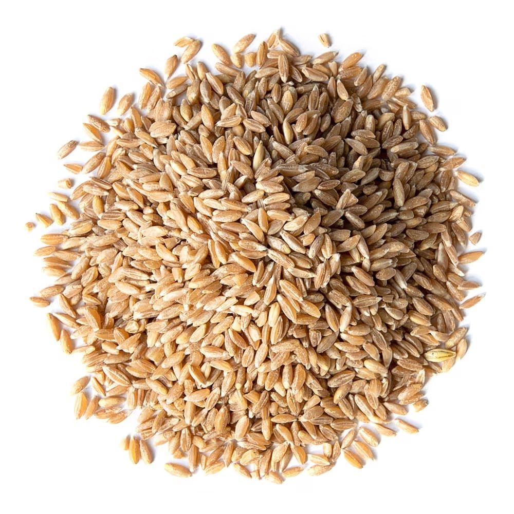 Spelt Grain Organic (Sold In Bulk)