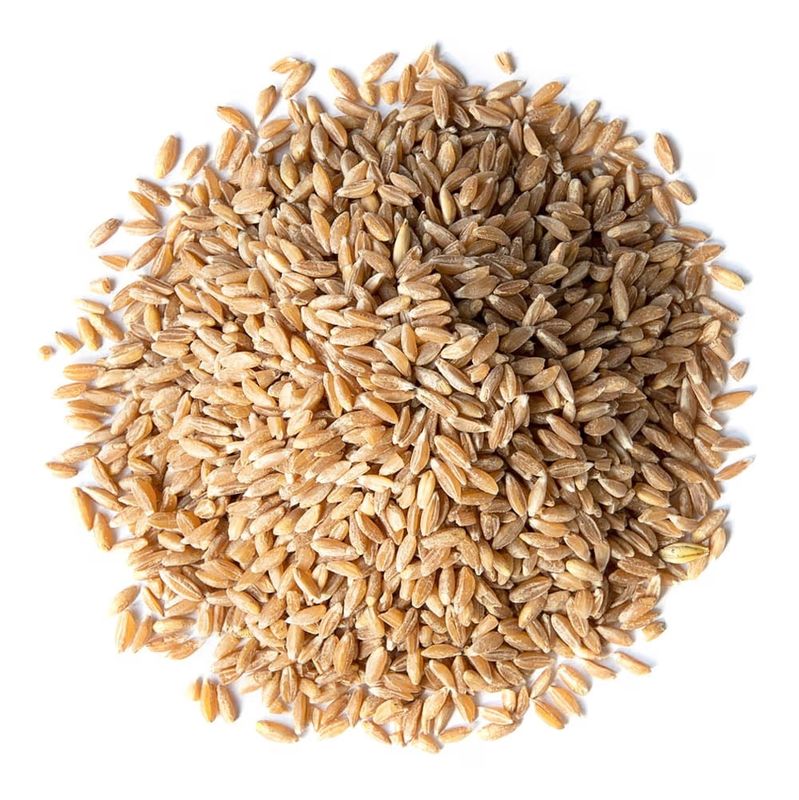 Spelt Grain Organic (Sold In Bulk)