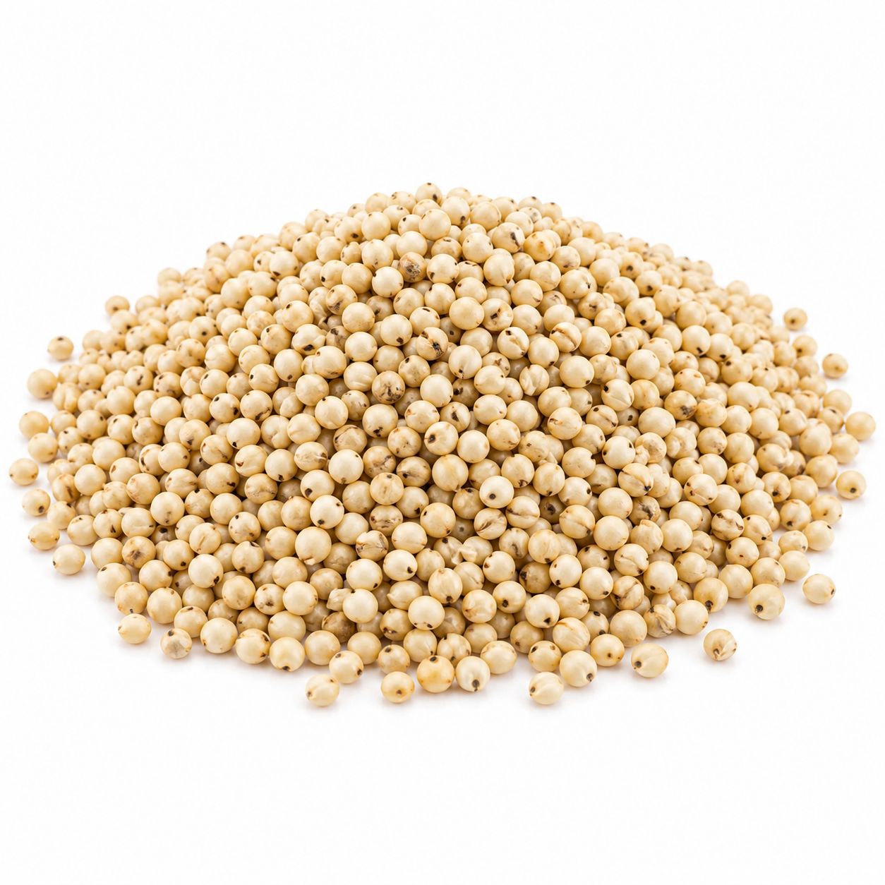 Sorghum Grain Organic (Sold In Bulk) Sorghum Grain Organic (Sold In Bulk)