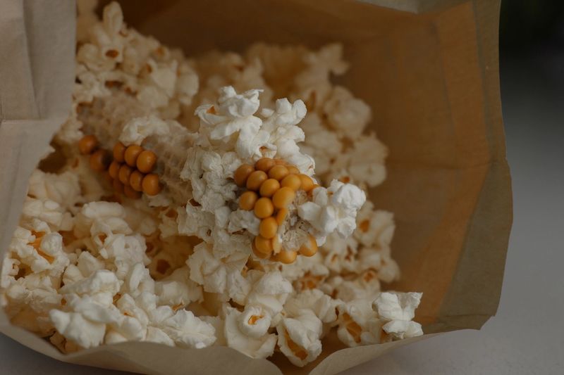 Amish Country, Yellow Microwave Popcorn Cob