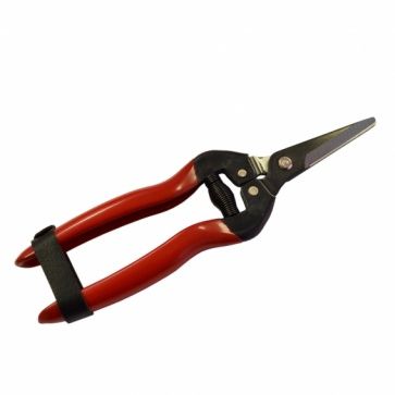 Sunya Pro Horto Shears and Snips