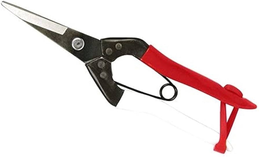 Shears, Okatsune Pointed Tip