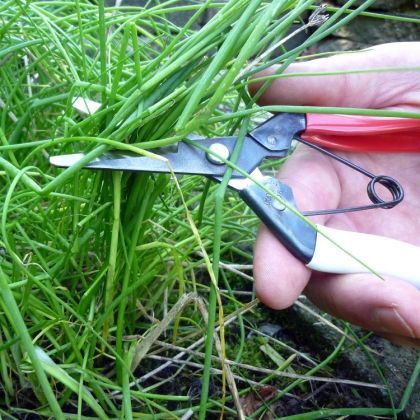 Shears, Okatsune Rounded Tip