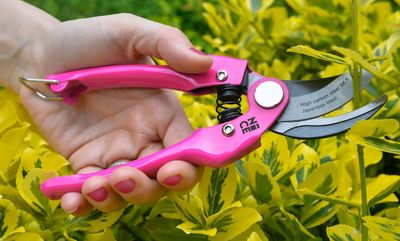 NICE Bypass Pruning Shears 19cm - Pink