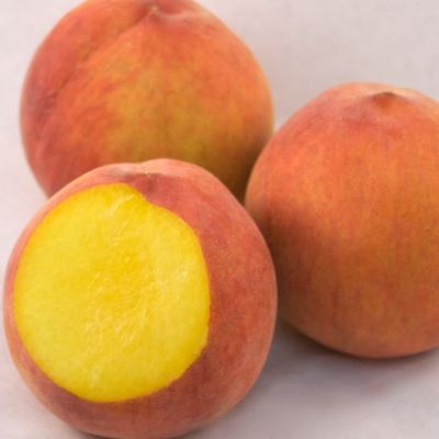 Peach Healey’s Peacharine