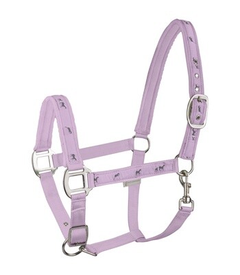 Halter Little horses Orchid Pony