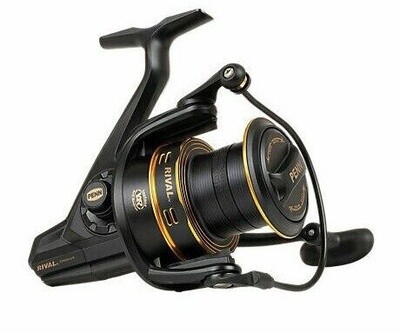 Penn Rival Longcast Gold Fixed Spool, Size: 6000LC