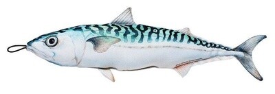 Fladen Mackerel Cushion 44cm