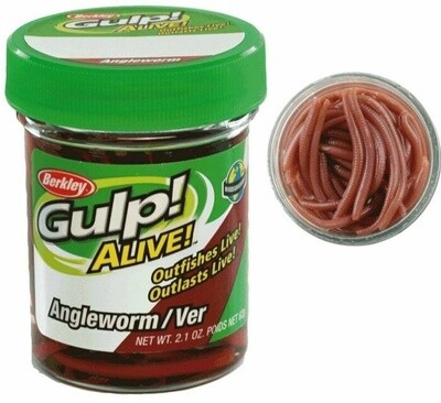 Berkley Gulp Alive Angle Worm