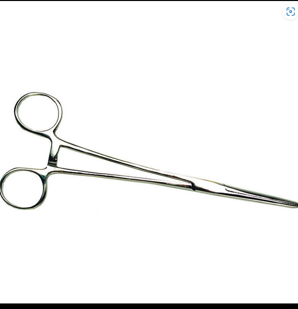FORCEPS STRAIGHT 12&quot;