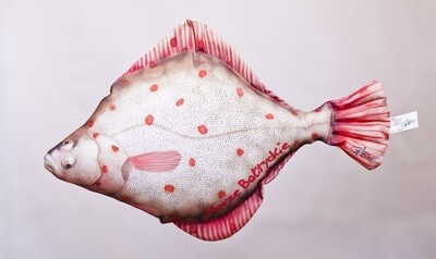 Gaby Pillows Flounder
