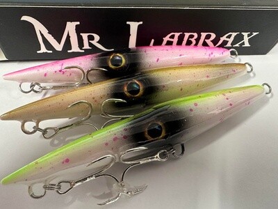New Labrax Squid