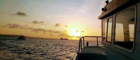 Local Fishing Charters