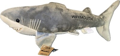 Giant Hunter Weymouth Shark