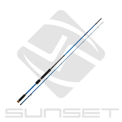 Sunsquid SW20 + Stingray Egi FD Reel Egi Combo