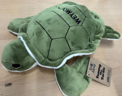 Weymouth Tommy The Turtle