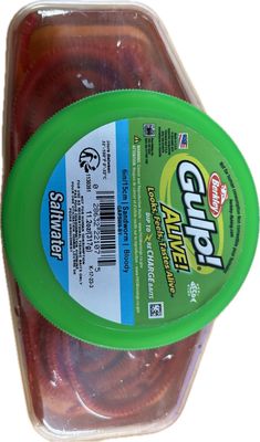 BERKLEY ALIVE GULP 6&quot; SANDWORM BLOODY RAG 317G