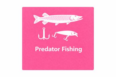 Predator Fishing