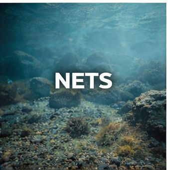 Nets