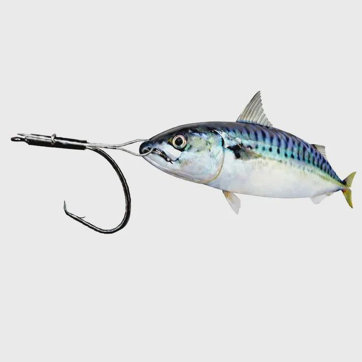 Cox and Rawle Circle Hook Bridle Rig (2pcs per pack)