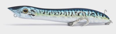Xorus Patchinko 125 Blue Mackerel