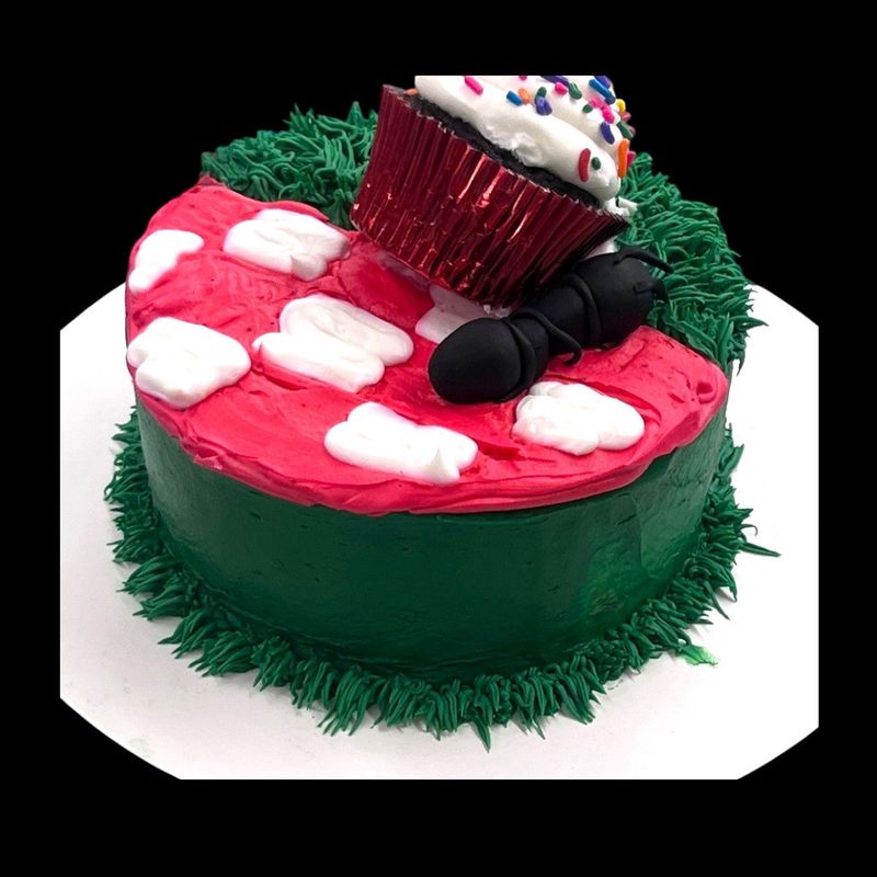 Kid&#39;s Nailed Cake Challenge Aug 7th