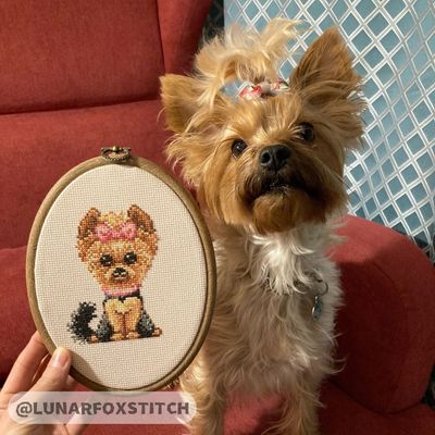 Yorkie dog cross stitch pattern