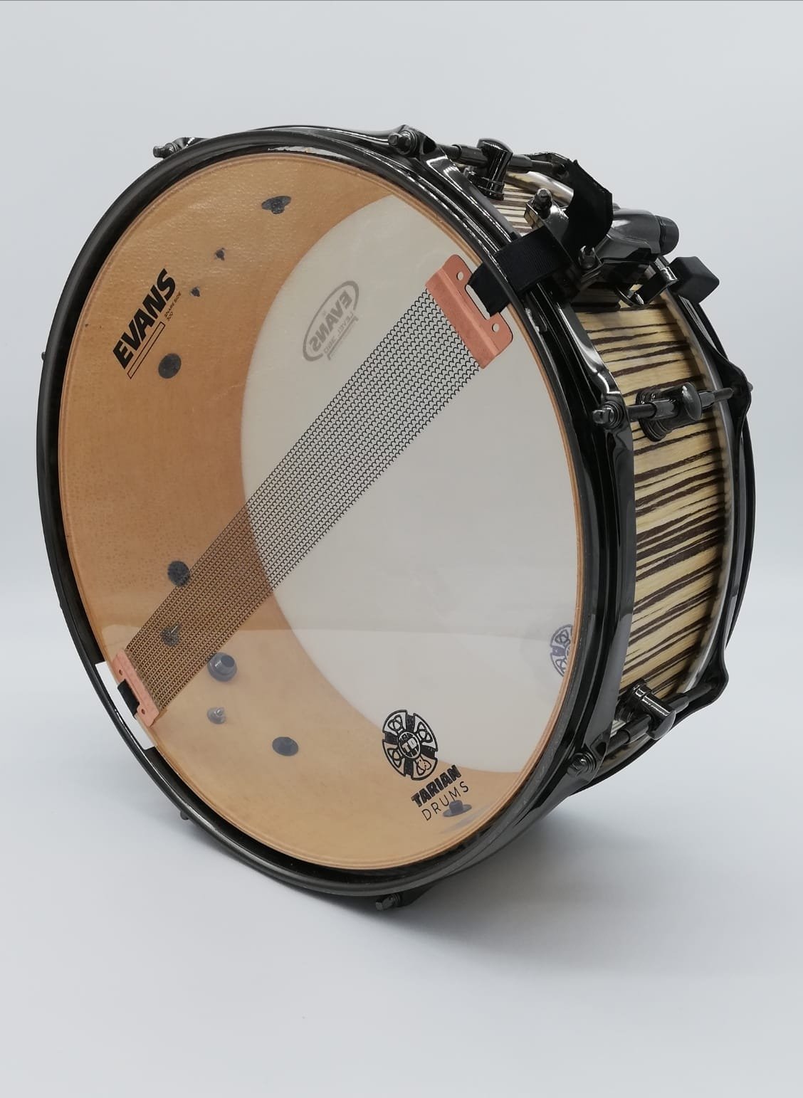 Zebrana Snare