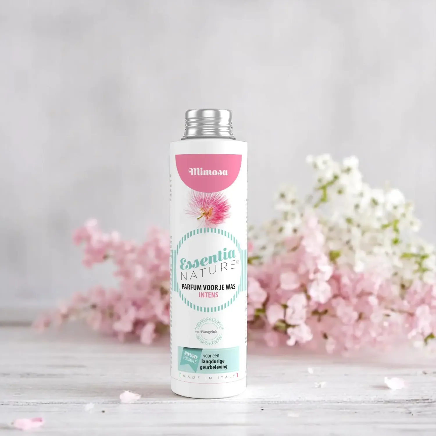 WP Mimosa Perla 250 ml