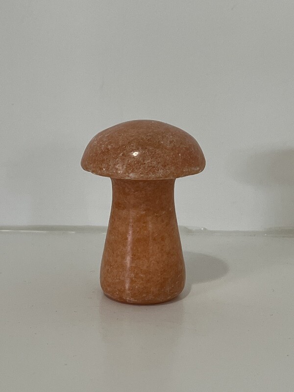 Stone Mushroom