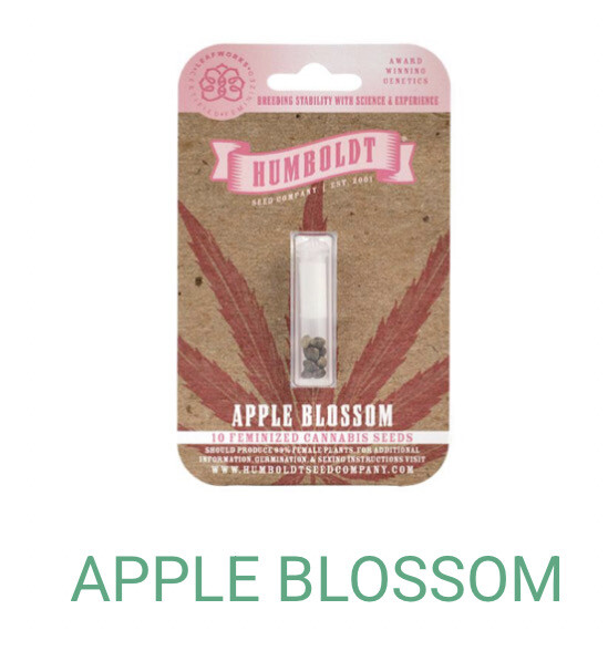 Apple Blossom- Humboldt Seeds