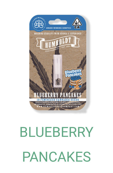 Blueberry Pancakes- Humboldt Seeds
