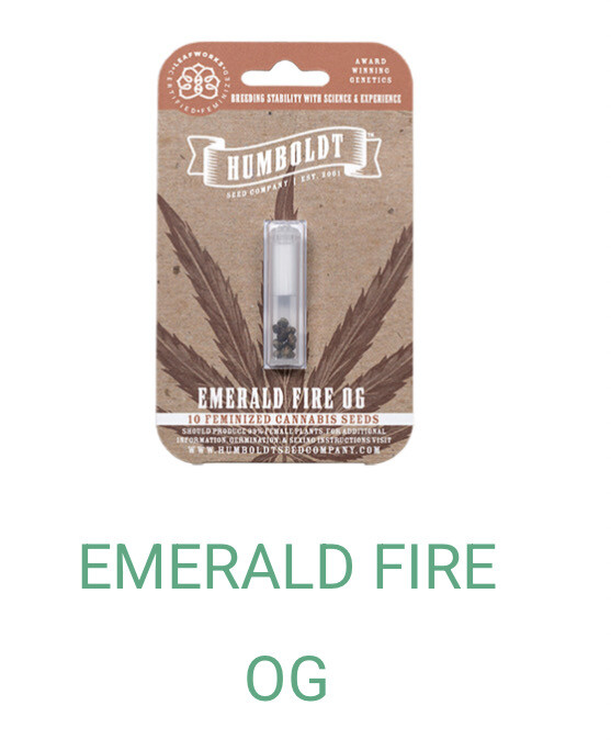 Emerald Fire OG- Humboldt Seeds