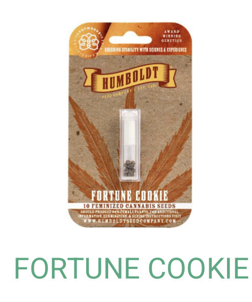 Fortune Cookie- Humboldt Seeds