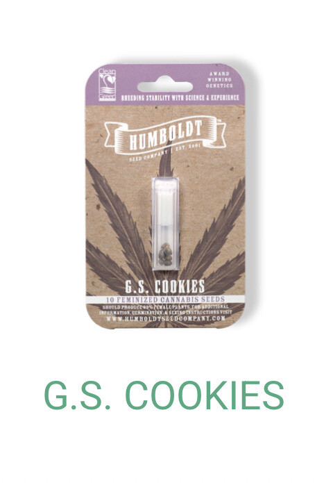 G.S. Cookies- Humboldt Seeds