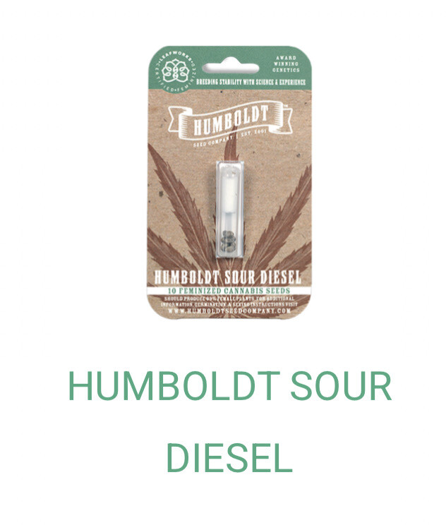 Humboldt Sour Diesel- Humboldt Seeds