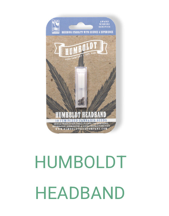 Humboldt Headband- Humboldt Seeds