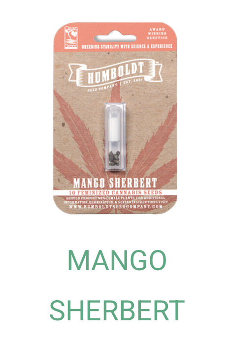 Mango Sherbert- Humboldt Seeds