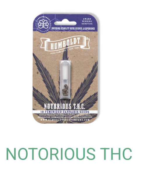 Notorious THC- Humboldt Seeds