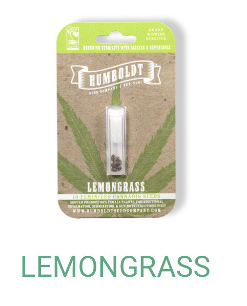 Lemongrass- Humboldt Seeds