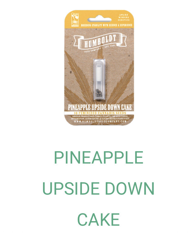 Pineapple Upside Down Cake- Humboldt Seeds
